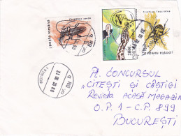 INSECTS, SNAKE, STAMPS ON COVER, 2000, ROMANIA - Storia Postale