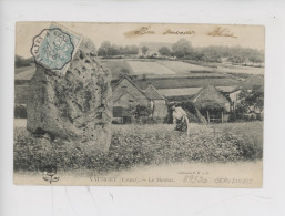 Vaumort (89 Sens) Le Menhir (animée) - Dolmen & Menhirs