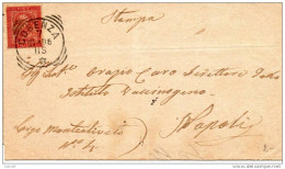 1895 LETTERA  CON ANNULLO COSENZA - Storia Postale