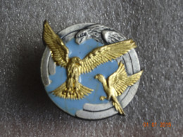 INSIGNE ARMEE DE L'AIR GROUPE ECOLE 313 AULNAT  A1051 VERSION EMAIL GRAND FEU BLEU - Luftwaffe