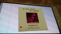 6/ LE XII SIECLE EN EUROPE  RAMBRANDT LES PAONS MORTS - Diapositives