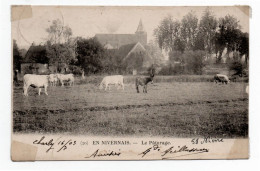 58 EN NIVERNAIS N° 20 - Le Pâturage - 1903 - Boeufs Et Ane Au Pré - Eglise Clocher - Bourgogne