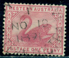 1890/1893 Black Swan,Schwarzschwan,Western Australia,Mi.34 , 1 P.,Wmk.3,VFU - Cigni