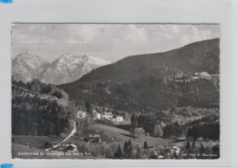 Adelholzen Im Chiemgau 1967 - Chiemgauer Alpen