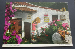 A Typical Scene, Canary Islands - Photo E. Ludwig, John Hinde Studios - Andere & Zonder Classificatie