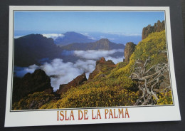 Isla De La Palma - Caldera De Taburiente, Vista Desde Los Andenes - Foto Juan José Santos - # 306 - La Palma