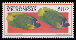 Mikronesien 1999 - Mi-Nr. 776 ** - MNH - Fische / Fish - Micronésie