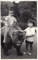 Boy Riding A Bear , Ours , Montreur - Ours