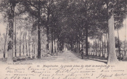 Carte Hoogstraeten La Grande Drève Du Dépot De Mendicité 1910 Hoogstraten - Hoogstraten