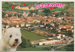 REALMONT  ( 81 )    AMITIÉS  DE  -  C P M   PANORAMAT  (23 / 11 / 65  ) - Realmont