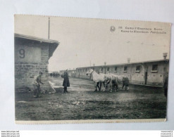 Carte Postale Non-écrite Du Camp D'Elsenborn - Ecuries - Paardestallen - Chevaux .... L13 . - Elsenborn (camp)