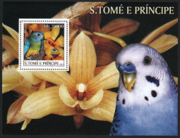São Tomé & Príncipe 2003 - Mi-Nr. Block 440 ** - MNH - Vögel / Birds - Sao Tome Et Principe
