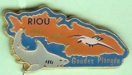 @@ Plongée Marseille Ile De RIOU Requin Mouette Club Des GOUDES (2.4x3.4) @@anim355 - Immersione