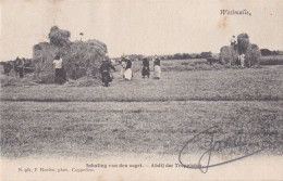 MALLE WESTMALLE 1904 BROEDERS INHALING VAN DEN OOGST OOGSTEN - ABDIJ DER TRAPPISTEN - HOELEN KAPELLEN 951 - Malle