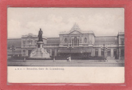 BELGIQUE - BRUXELLES - Gare Du Luxembourg - A 2461 - Chemins De Fer, Gares