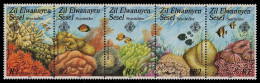 Äußere Seychellen 1986 - Mi-Nr. 119-123 ** - MNH - Meeresleben / Marine Life - Seychelles (1976-...)