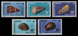 Komoren 1971 - Mi-Nr. 129-133 ** - MNH - Meeresschnecken / Marine Snails - Comores (1975-...)