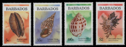 Barbados 1997 - Mi-Nr. 920-923 ** - MNH - Meeresschnecken / Marine Snails - Barbados (1966-...)