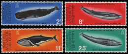 BAT / Brit. Antarktis 1977 - Mi-Nr. 64-67 ** - MNH - Wale / Whales - Neufs