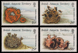 BAT / Brit. Antarktis 1989 - Mi-Nr. 152-155 ** - MNH - Flechten / Lichens - Unused Stamps