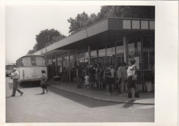 Bus Station Zadar Croatia - Bus & Autocars