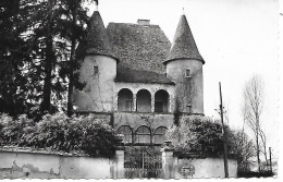 ST CHEF  - ( 38 ) - Chateau  ( C. P. S. M. - Pt -Ft ) - Saint-Chef