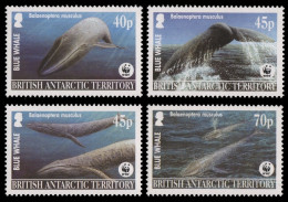 BAT / Brit. Antarktis 2003 - Mi-Nr. 353-356 ** - MNH - Wale / Whales - Unused Stamps