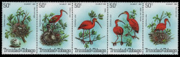 Trinidad & Tobago 1980 - Mi-Nr. 411-415 ** - MNH - Vögel / Birds - Trinité & Tobago (1962-...)