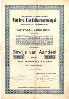West-Java Kina-Cultuurmaatschappij N.V. - Aandeel F 300 - Amsterdam 1929 Indonesia - Agricoltura
