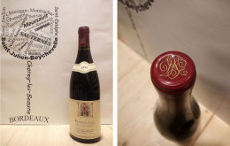 Bourgogne 1995 - Mugneret-Gibourg - Bourgogne - 1 X 75 Cl - Rouge - Wein