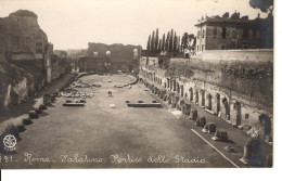 ROMA  PALATINO - Colosseum