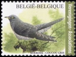 4991** - Coucou Gris / Grijze Koekoek / Grauer Kuckuck - BUZIN - ASSOCIATIONS / VERENIGINGEN - Cuckoos & Turacos