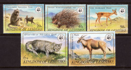 Delcampe - Lesotho 1982 Wildlife Set HM (SG 468-472) - Lesotho (1966-...)