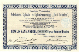 Nederlandsche Exploitatie- En Exploiratiemaatschappij "Oost-Sumatra" N.V. - Aandeel F 100 - 's Gravenhage 1898 Indonesia - Landwirtschaft