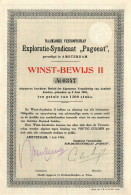 Exploratie-Syndicaat "Pagoeat" N.V. - Winstbewijs II - Amsterdam 1904 Indonesia - Landbouw