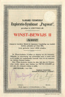 Exploratie-Syndicaat "Pagoeat" N.V. - Winstbewijs II - Amsterdam 1904 Indonesia - Agricoltura