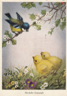 Hannes Petersen - Herzliche Ostergrusse , Easter Chicks , Swallow Bird - Petersen, Hannes