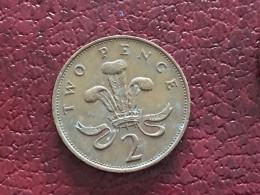 Münze Münzen Umlaufmünze Großbritannien 2 Pence 1989 - 2 Pence & 2 New Pence