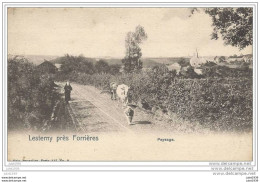 Julot1939 ...   LESTERNY ..-- Nels 117 , N° 9 . Paysage Et Vue Du Village . - Nassogne