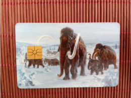 Elephant  Phonecard Used  Rare - Dschungel