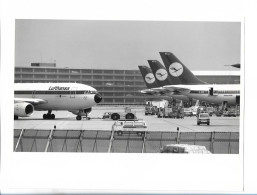 C5433/ Lufthansa Flugzeug Airbus 310  Flughafen Frankfurt  1983 Foto 24 X 18 Cm - Autres & Non Classés