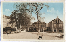 C. P. A. Couleur : 82 : MONTAIGU DE QUERCY : Avenue De Cahors, "Café", Animé, Timbre En 1955 - Montaigu De Quercy