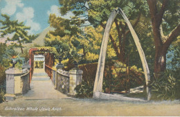 GIBRALTAR. Whale Jaw's Arch - Gibilterra