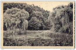 _B871:Hoeylaert: Schilderachtig Hoekje Der Vijvers Van Groenendael ..Coin Pittoresque Des étangs De Groenendael: Verstuu - Hoeilaart