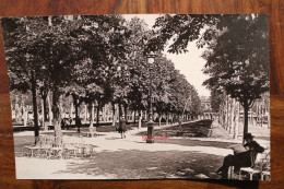 Photo 1890's Vichy Allée Du Parc Tirage Print Vintage Römmler & Jonas, Dresden - Lieux