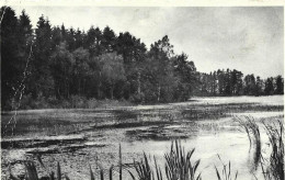 CUL DES SARTS - Etang Des Perchettes - Cul-des-Sarts