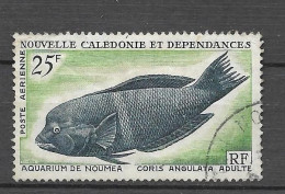 Timbre Oblitéré Nouvelle Calédonie,  PA N°83 YT, Aquarium De Nouméa, Poisson, Coris Angulata - Usati