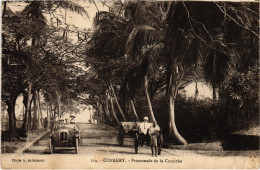 PC FRENCH GUINEA GUINÉE CONAKRY PROMENADE DE LA CORNICHE (a49795) - Guinée Française