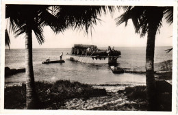 PC GABON PORT-GENTIL DÉCHARGEMENT DU BOIS REAL PHOTO POSTCARD (a49875) - Gabon