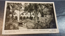 SPAIN ESPAÑA TARRAGONA  - TARRAGONE - Catedral - Jardin Del Claustro UNUSED - Tarragona